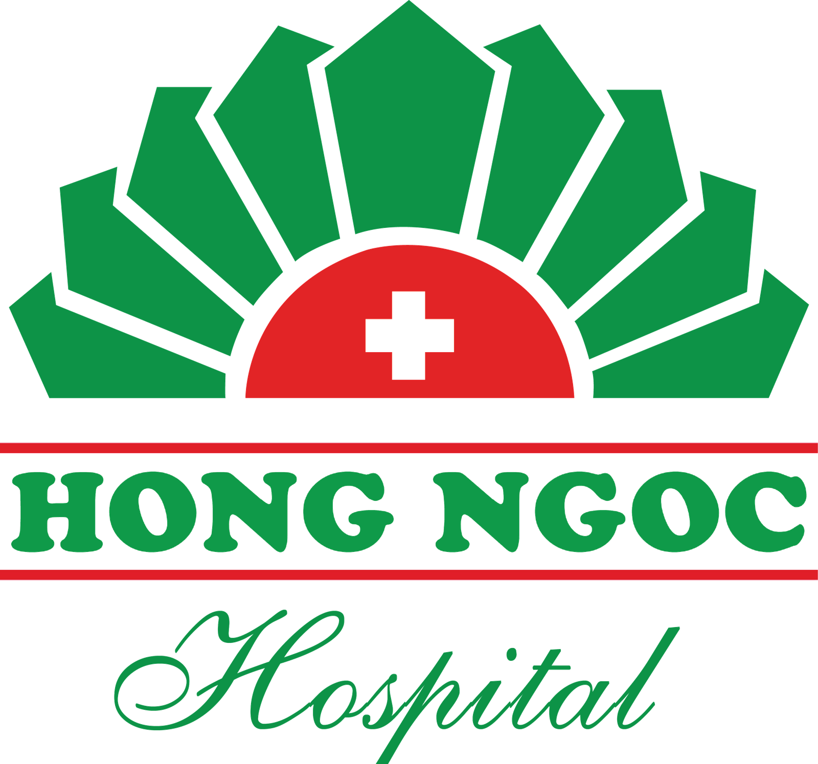 ngan-hang-sua-me-ve-tinh-benh-vien-da-khoa-hong-ngoc