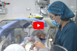 ngân hàng sữa mẹ quảng ninh